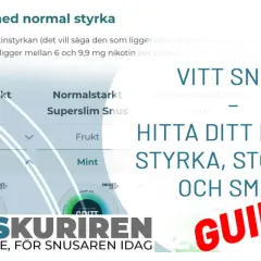 En guide till vitt snus med normal styrka, olika smaker som bär och citrus, samt storlekar som minisnus.