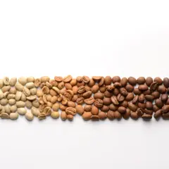 Kaffebönor i olika rostningsgrader, från ljusa till mörka, visar hur rostningstemperaturen påverkar färgen och smaken.