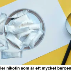 En hög med nikotinpåsar, liknande pelikan snus, ligger på ett vitt papper. En förstoringsglas undersöker dem.