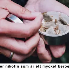 Händer tar en prilla snus ur en dosa. En perfekt dag för snusets dag, men kom ihåg nikotinets beroendeframkallande natur.