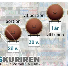 Snusets hållbarhet: lössnus 14 v., portion 20 v., vit portion 30 v., vitt snus 1 år, och vitt snus i frysen 1 år.
