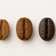 Tre kaffebönor visar olika rostningsgrader, från ljus till mörk. En visuell guide till kaffe sorter.