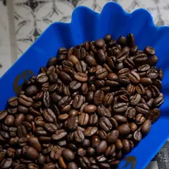 Rostade kaffebönor i en blå skål, redo för en perfekt kopp kaffe.