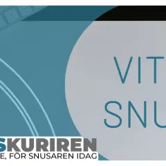 En text om vitt snus och dess biverkningar. En grön penna ligger på ett papper med texten "VITT SNUS".