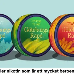 Three cans of Göteborgs Rapé snus: Mint (blue), Citron x Lime (green), and Tropikal (red/orange).