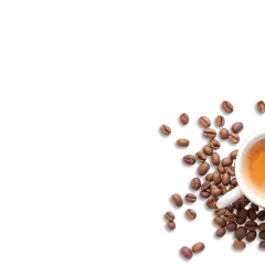 En vit kopp med espresso omgiven av kaffebönor, en inbjudan till olika kaffedrycker.