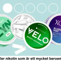 Flera burkar med nikotinpåsar som Velo, Zyn, XQS och Kelly White. Jämförelse mellan nikotinpåsar vs snus.