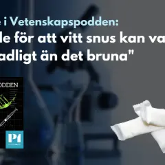 Forskare oroade för att vitt snus kan vara mer skadligt än brunt. Bilden visar snusdosor och en illustration av DNA.