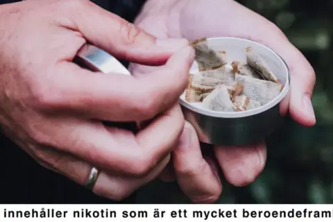 Händer tar en prilla snus ur en dosa. En perfekt dag för snusets dag, men kom ihåg nikotinets beroendeframkallande natur.