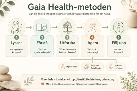 Gaia Health-metoden: Lyssna, Förstå, Utforska, Agera, Följ upp. En guide för att förstå kroppens signaler och hur man blir pigg.