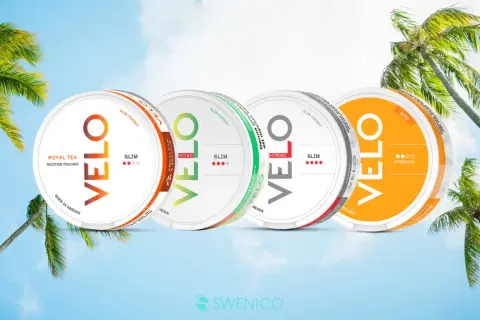 Velo Sverige: fyra dosor nikotinpåsar med olika smaker och styrkor, omgivna av palmer mot en blå himmel.