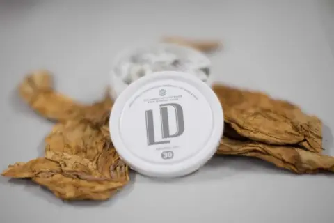 En dosa LD snus ligger på torkade tobaksblad, en del av snus tillverkning.