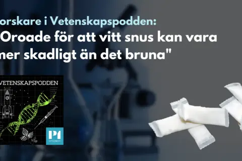 Forskare oroade för att vitt snus kan vara mer skadligt än brunt. Bilden visar snusdosor och en illustration av DNA.