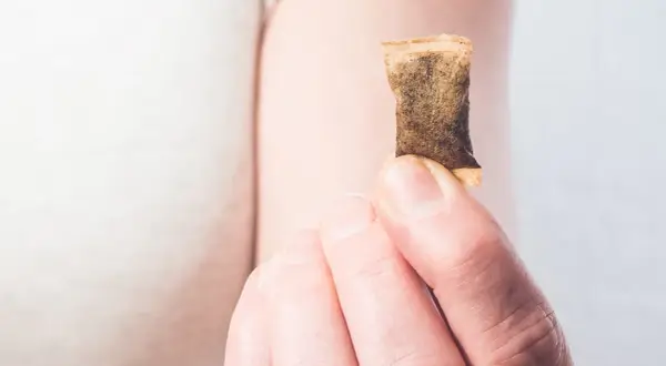 En hand håller en prilla nikotinfritt snus, ett alternativ för den som är gravid och vill undvika nikotin.