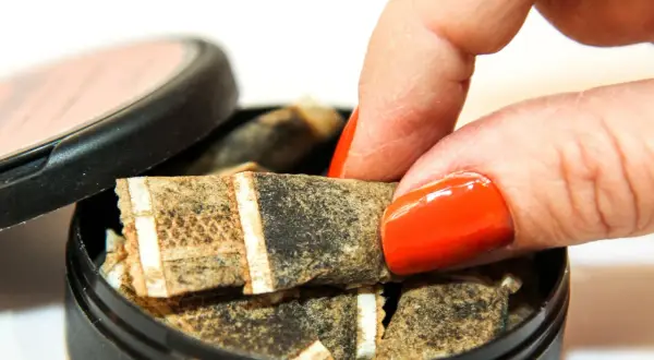 En hand med orange nagellack tar en prilla snus ur en dosa. En bild som kan illustrera snuspriser genom åren.
