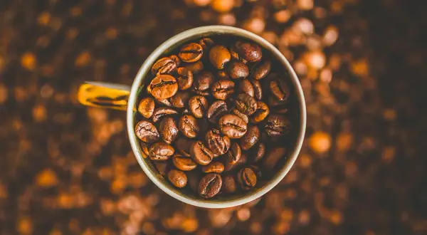 En kopp fylld med kaffebönor, redo att bli en härlig dryck. Kanske en liten barnkopp för en lekfull fika?