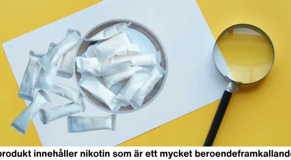 En hög med nikotinpåsar, liknande pelikan snus, ligger på ett vitt papper. En förstoringsglas undersöker dem.