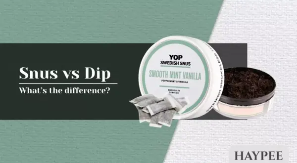 En dosa YOP Swedish Snus, "Smooth Mint Vanilla", med påsar och en öppen dosa med lössnus. Jämförelse mellan snus och dip.