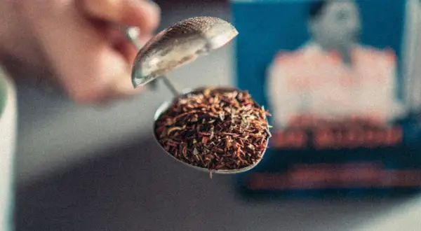 En tesil fylld med rooibos te, redo att ge en härlig rooibos te smak.