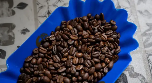 Rostade kaffebönor i en blå skål, redo för en perfekt kopp kaffe.
