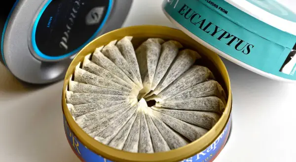 Snusdosor med General Mint, Eucalyptus och Göteborgs Rapé Lingon. Vissa menar att snus kan påverka testosteron.