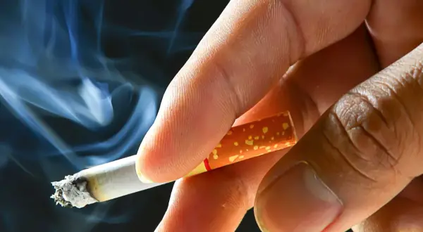En hand håller en cigarett med rök som virvlar. Processen att fermentera tobak ger den dess karaktäristiska smak.