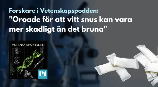 Forskare oroade för att vitt snus kan vara mer skadligt än brunt. Bilden visar snusdosor och en illustration av DNA.