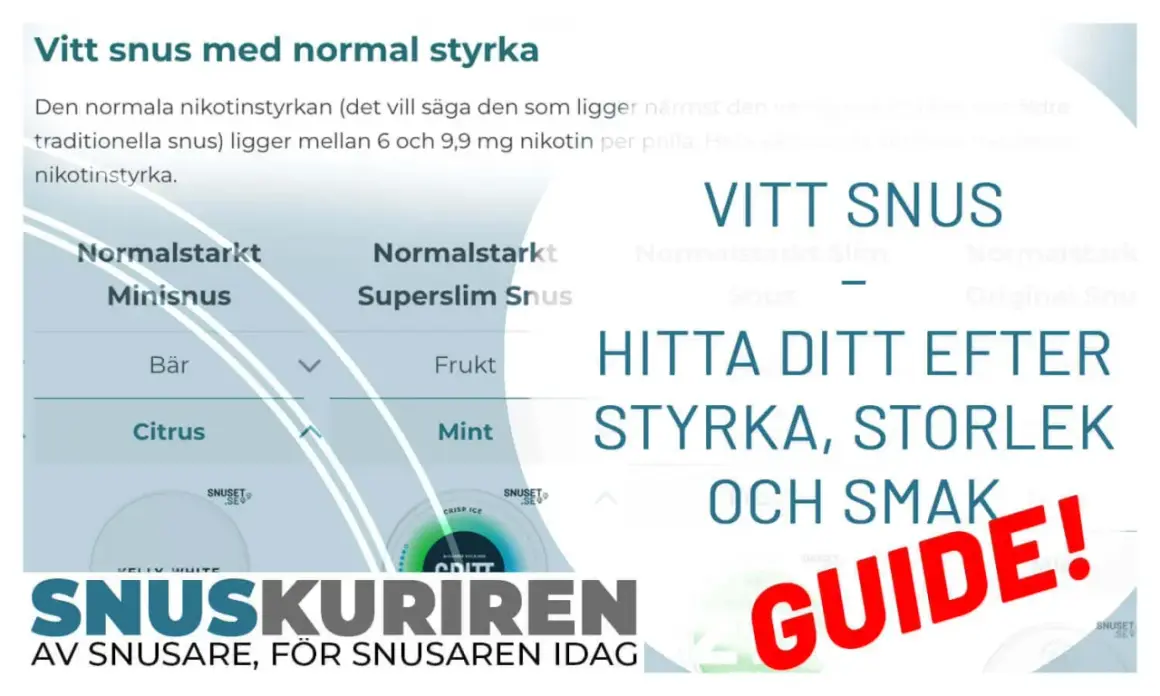 En guide till vitt snus med normal styrka, olika smaker som bär och citrus, samt storlekar som minisnus.