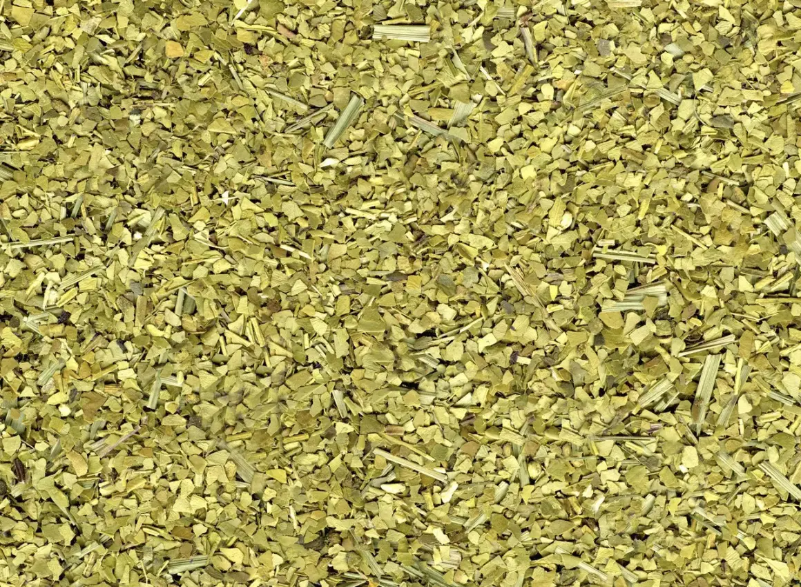 Torkade blad och stjälkar av yerba mate, en grön, krispig blandning redo att bryggas.