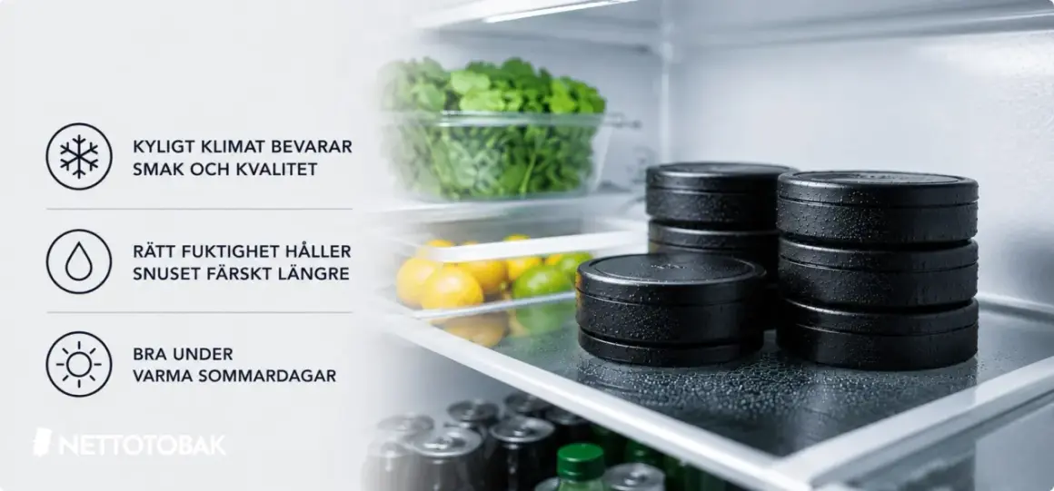Kyligt klimat bevarar smak och kvalitet. Rätt fuktighet håller snuset färskt längre, perfekt för varma sommardagar.