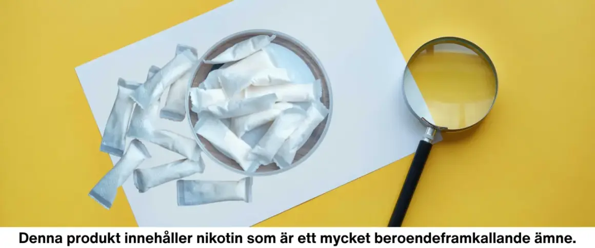 En hög med nikotinpåsar, liknande pelikan snus, ligger på ett vitt papper. En förstoringsglas undersöker dem.