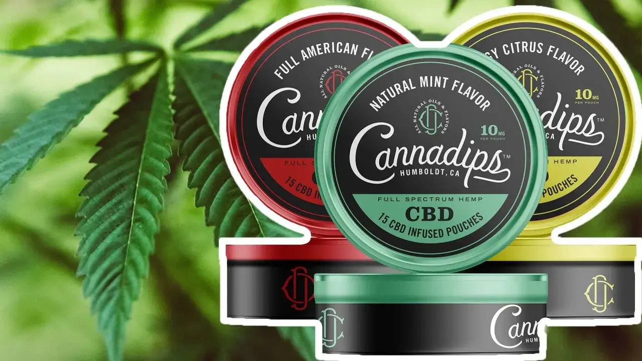 Tre burkar med Cannadips CBD snus effekt. En grön med mintsmak, en röd med amerikansk smak och en gul med citrussmak. Bakgrunden är en grön cannabisplanta.