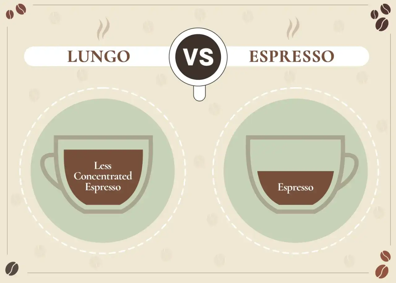 Jämförelse mellan lungo kaffe och espresso. Lungo är mindre koncentrerad.