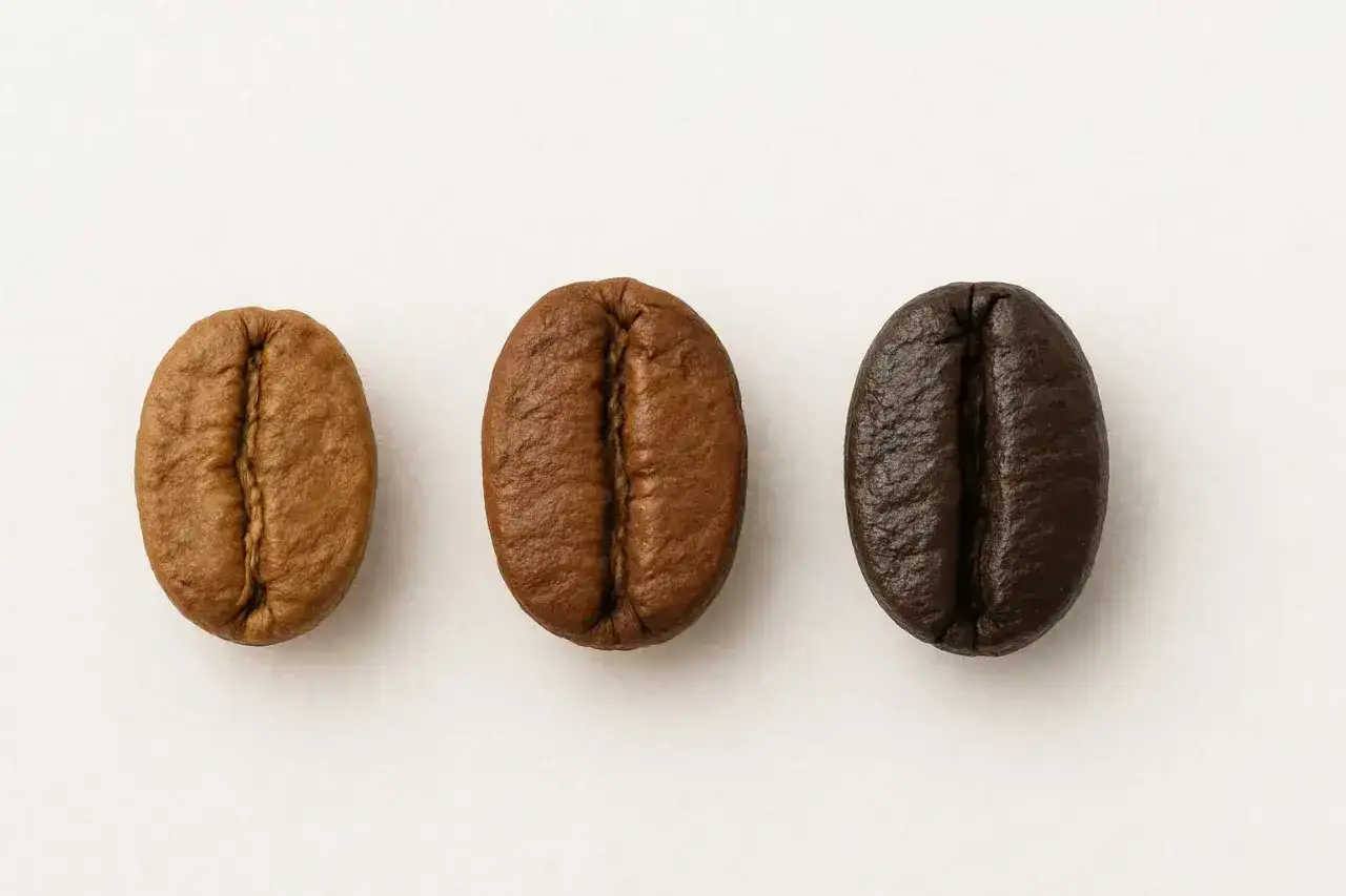 Tre kaffebönor i olika nyanser av rosta kaffe, från ljusbrun till mörk.