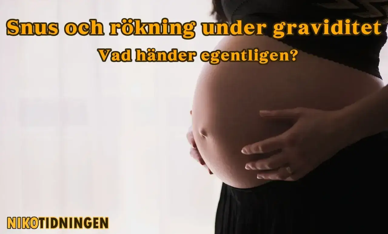 Gravid mage med texten 
