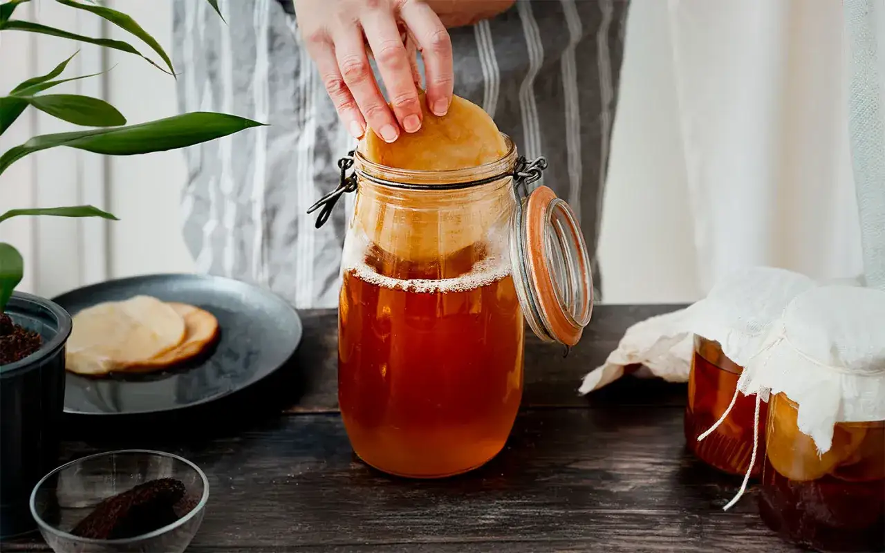 Här läggs en SCOBY i en burk för att starta ett kombucha recept. Två andra burkar med kombucha syns i bakgrunden.