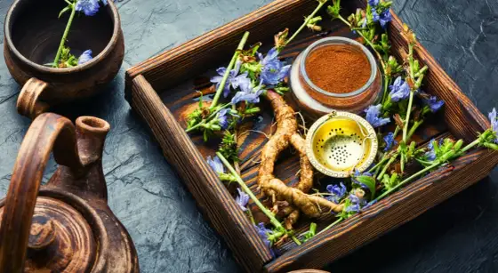 Cikoria under graviditeten - vad gäller för kaffe och inulin?