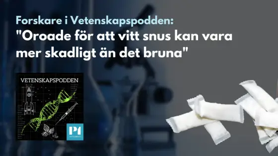 ZYN - Farligt? Sanningen om hälsorisker & sömnpåverkan