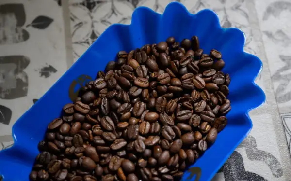Rostade kaffebönor i en blå skål, redo för en perfekt kopp kaffe.