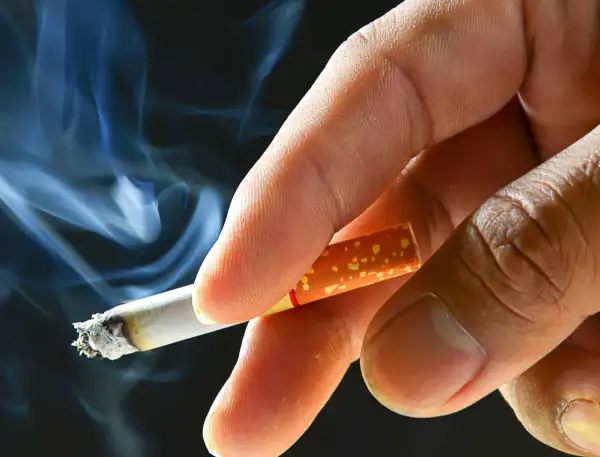 En hand håller en cigarett med rök som virvlar. Processen att fermentera tobak ger den dess karaktäristiska smak.